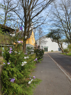 Straße mit Fichten geschmückt