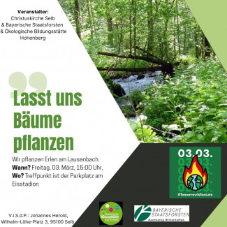 Bild mit Wald, Daten für die Aktion, Logo des Klimastreiktags 