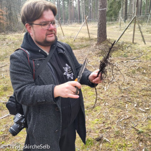 Mann mit Schere und Baumsetzling in der Hand 